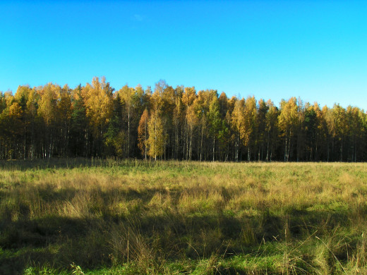 29926 (a): :1024x768